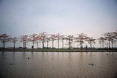 微软暗示《艾尔登法环》将登陆Xbox Game Pass